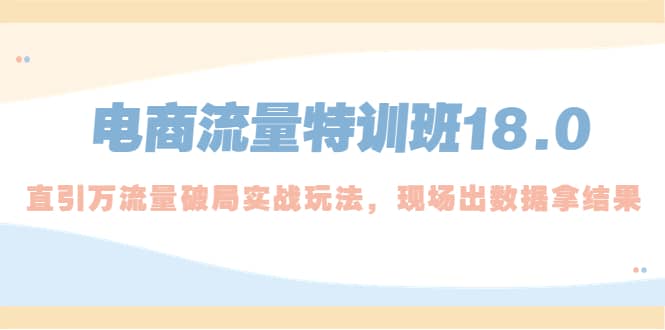 电商流量特训班18.0，直引万流量破局实操玩法，现场出数据拿结果-淘金创客