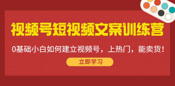 视频号短视频文案训练营：0基础小白如何建立视频号，上热门，能卖货！-淘金创客