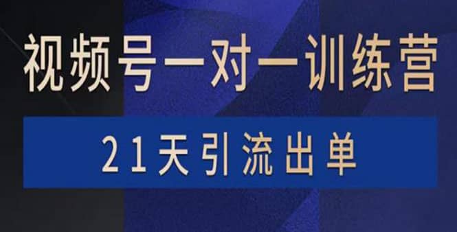 视频号训练营：带货，涨粉，直播，游戏，四大变现新方向，21天引流出单-淘金创客