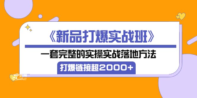 《新品打爆实战班》一套完整的实操实战落地方法，打爆链接超2000+（38节课)-淘金创客