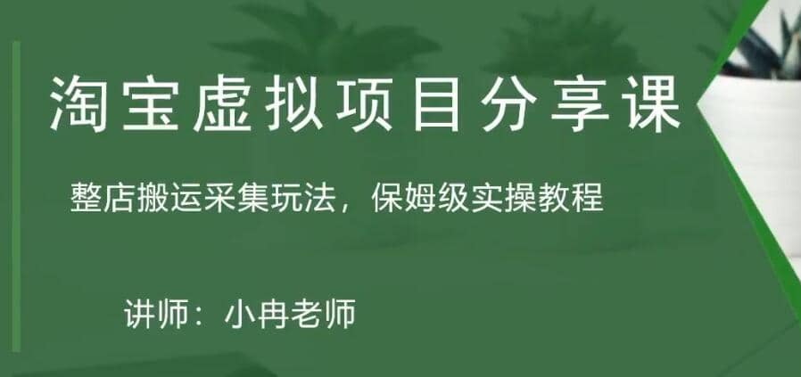 淘宝虚拟整店搬运采集玩法分享课：整店搬运采集玩法，保姆级实操教程-淘金创客