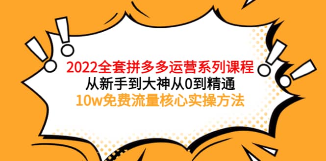 2022全套拼多多运营课程，从新手到大神从0到精通，10w免费流量核心实操方法-淘金创客