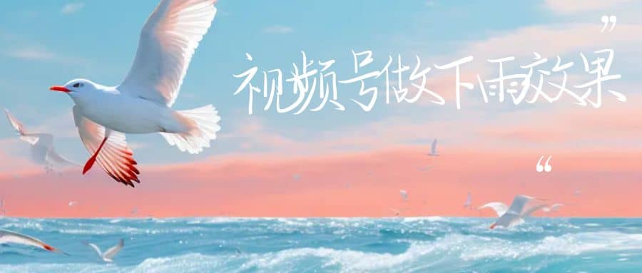 视频号做下雨视频一个账号一周涨粉10W+年入100w-淘金创客
