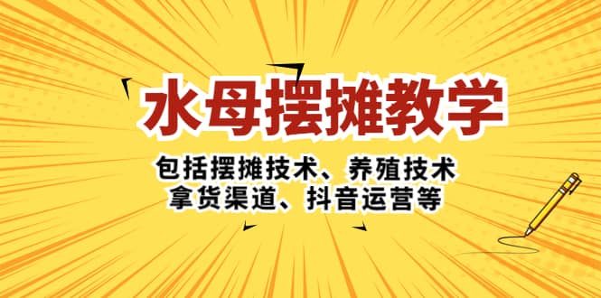 水母·摆摊教学，包括摆摊技术、养殖技术、拿货渠道、抖音运营等-淘金创客