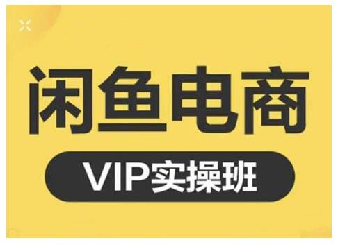 闲鱼电商零基础入门到进阶VIP实战课程，帮助你掌握闲鱼电商所需的各项技能-淘金创客