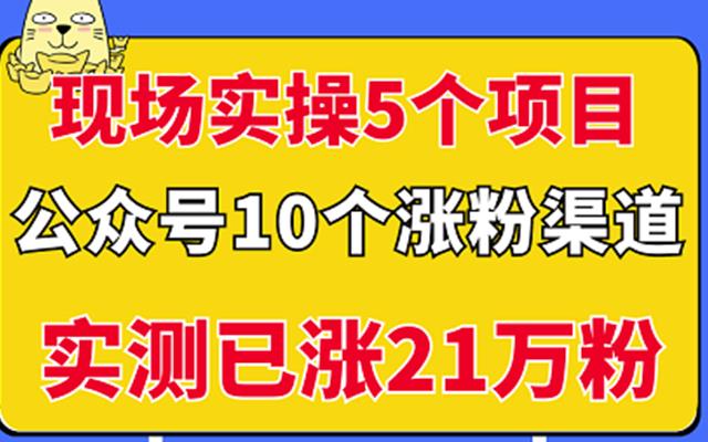 现场实操5个公众号项目，10个涨粉渠道，实测已涨21万粉！-淘金创客