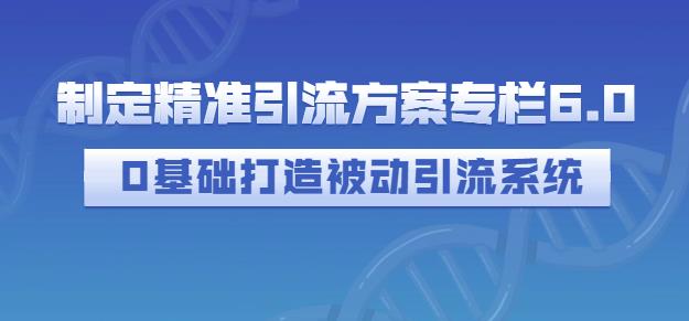 制定精准引流方案专栏6.0，0基础打造被动引流系统-淘金创客