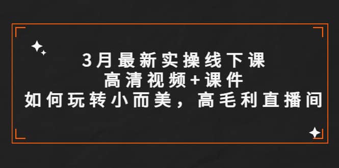 3月最新实操线下课高清视频+课件，如何玩转小而美，高毛利直播间-淘金创客