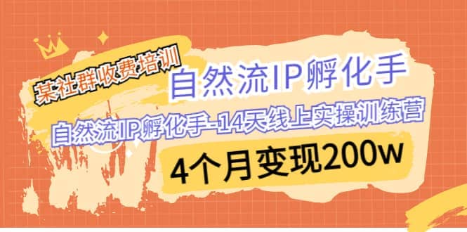 某社群收费培训：自然流IP 孵化手-14天线上实操训练营 4个月变现200w-淘金创客