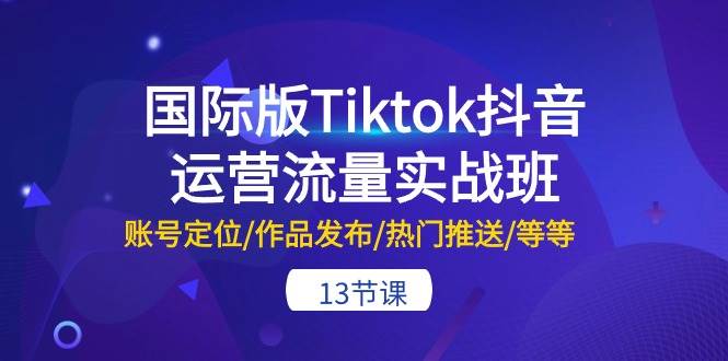 国际版Tiktok抖音运营流量实战班：账号定位/作品发布/热门推送/等等-13节-淘金创客