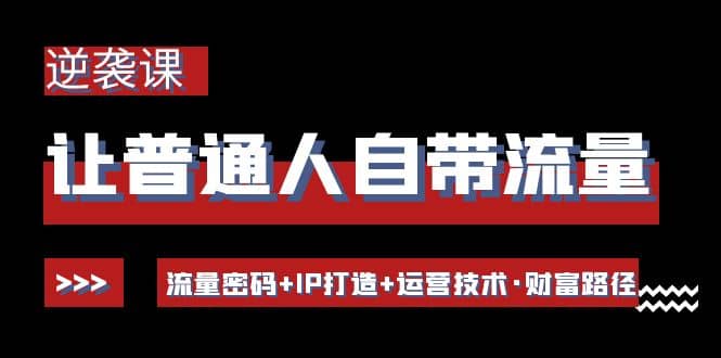 让普通人自带流量的逆袭课：流量密码+IP打造+运营技术·财富路径-淘金创客