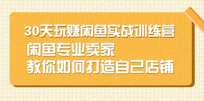 30天玩赚闲鱼实战训练营，闲鱼专业卖家教你如何打造自己店铺-淘金创客