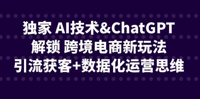 独家 AI技术ChatGPT解锁 跨境电商新玩法，引流获客+数据化运营思维-淘金创客