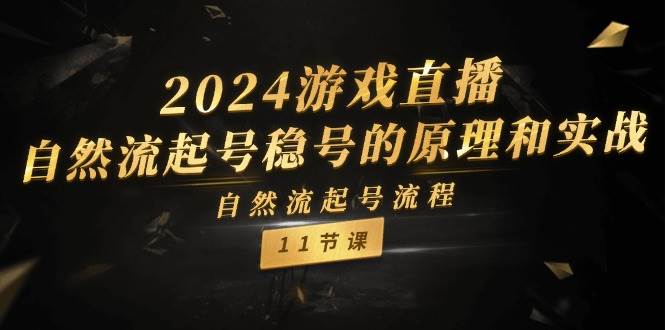 2024游戏直播-自然流起号稳号的原理和实战，自然流起号流程（11节）-淘金创客