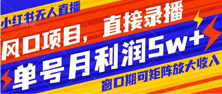 风口项目，小红书无人直播带货，直接录播，可矩阵，月入5w+-淘金创客