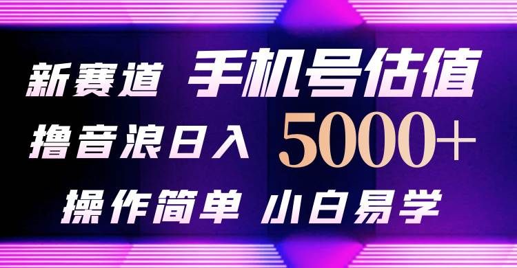 抖音不出境直播【手机号估值】最新撸音浪，日入5000+，简单易学，适合…-淘金创客