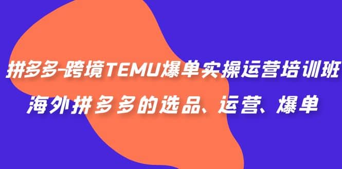 拼多多-跨境TEMU爆单实操运营培训班，海外拼多多的选品、运营、爆单-淘金创客