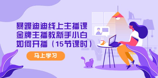 暴躁迪迪线上主播课，金牌主播教新手小白如何开播（15节课时）-淘金创客