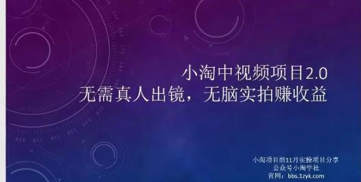 小淘项目组网赚永久会员，绝对是具有实操价值的，适合有项目做需要流程【持续更新】-淘金创客