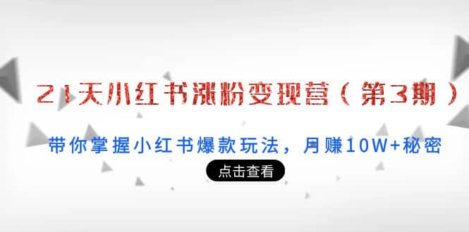 21天小红书涨粉变现营（第3期）：带你掌握小红书爆款玩法，月赚10W+秘密-淘金创客