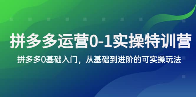 拼多多-运营0-1实操训练营，拼多多0基础入门，从基础到进阶的可实操玩法-淘金创客
