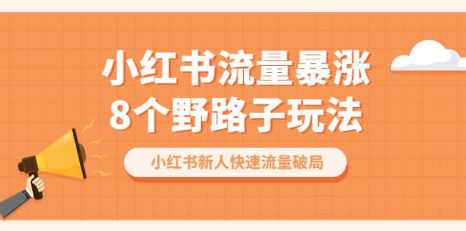 小红书流量-暴涨8个野路子玩法：小红书新人快速流量破局（8节课）-淘金创客