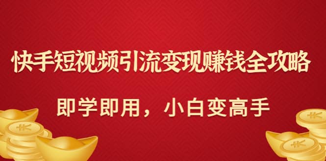 快手短视频引流变现赚钱全攻略：即学即用，小白变高手（价值980元）-淘金创客