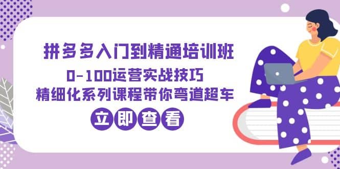 2023拼多多入门到精通培训班：0-100运营实战技巧 精细化系列课带你弯道超车-淘金创客