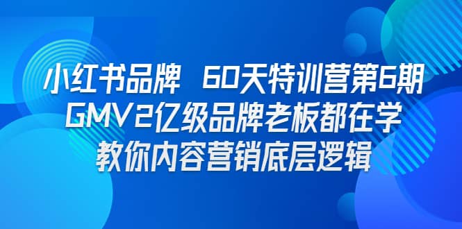 小红书品牌 60天特训营第6期 GMV2亿级品牌老板都在学 教你内容营销底层逻辑-淘金创客