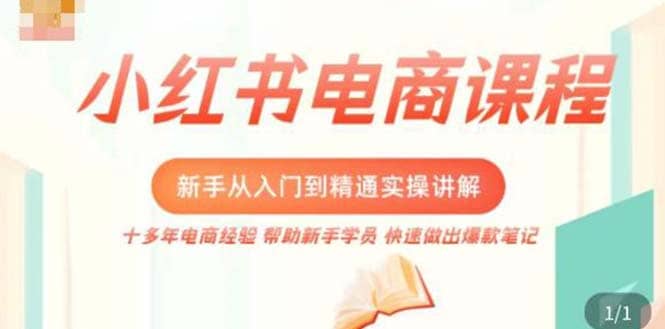 小红书电商新手入门到精通实操课，从入门到精通做爆款笔记，开店运营-淘金创客