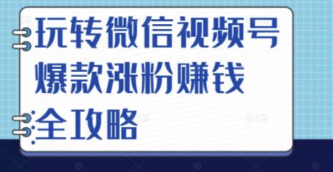 玩转微信视频号爆款涨粉赚钱全攻略，让你快速抓住流量风口，收获红利财富-淘金创客