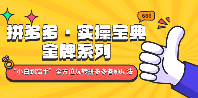 拼多多·实操宝典：金牌系列“小白到高手”带你全方位玩转拼多多各种玩法-淘金创客