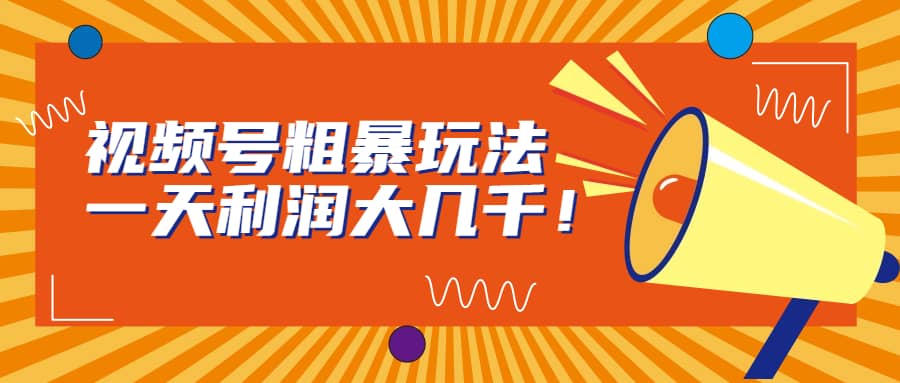 视频号粗暴玩法，一天利润大几千-淘金创客