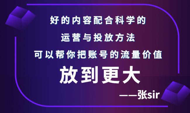 张sir账号流量增长课，告别海王流量，让你的流量更精准-淘金创客
