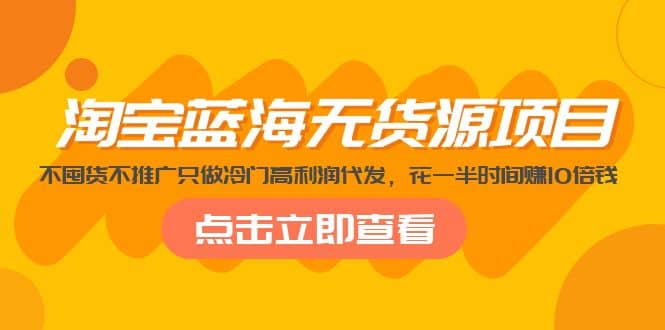 淘宝蓝海无货源项目，不囤货不推广只做冷门高利润代发-淘金创客