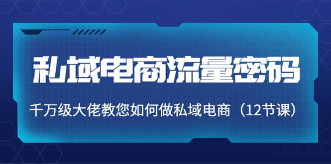 私域电商流量密码：千万级大佬教您如何做私域电商（12节课）-淘金创客