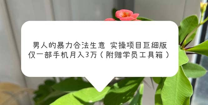男人的暴力合法生意实操项目巨细版：仅一部手机月入3w（附赠学员工具箱）-淘金创客