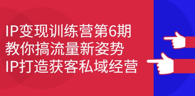 IP变现训练营第6期：教你搞流量新姿势，IP打造获客私域经营-淘金创客