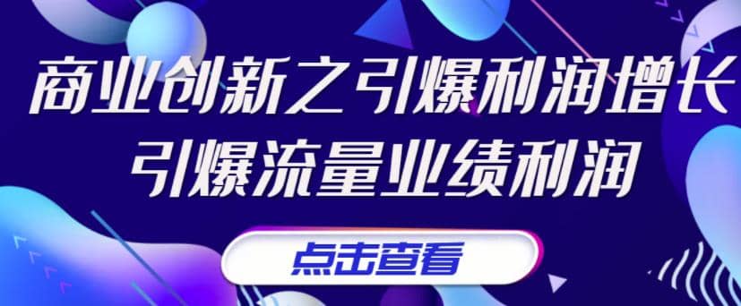 《商业创新之引爆利润增长》引爆流量业绩利润-淘金创客