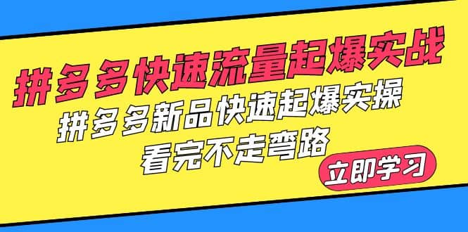 拼多多-快速流量起爆实战，拼多多新品快速起爆实操，看完不走弯路-淘金创客