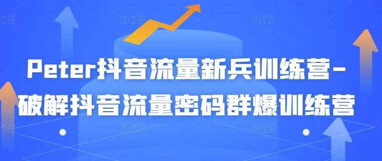 Peter抖音流量新兵训练营-破解抖音流量密码群爆训练营（新兵）-淘金创客