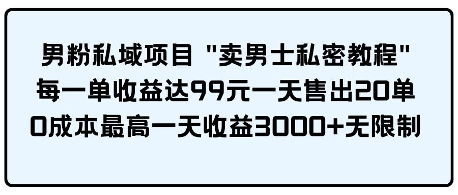 男粉私域项目 卖男士私密教程 每一单收益达99元一天售出20单-淘金创客