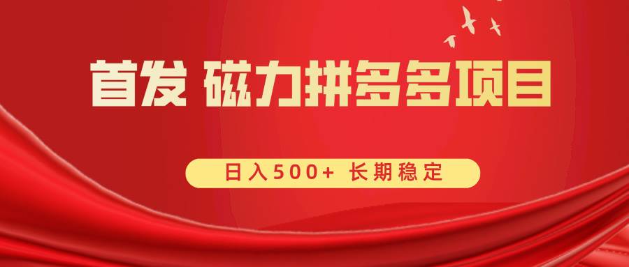 首发 磁力拼多多自撸  日入500+-淘金创客