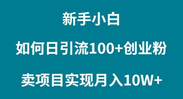 新手小白如何通过卖项目实现月入10W+-淘金创客