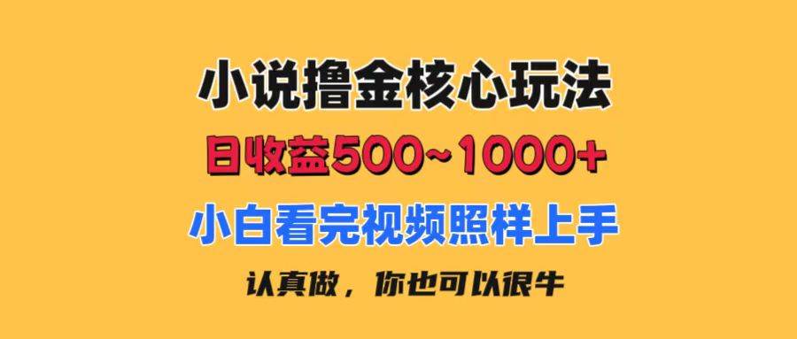 小说撸金核心玩法，日收益500-1000+，小白看完照样上手，0成本有手就行-淘金创客