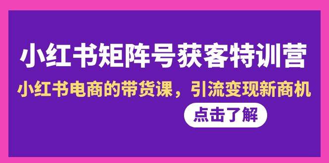 小红书-矩阵号获客特训营-第10期，小红书电商的带货课，引流变现新商机-淘金创客