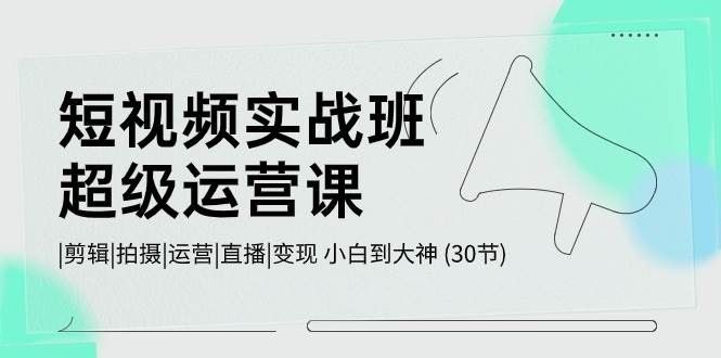 短视频实战班-超级运营课，|剪辑|拍摄|运营|直播|变现 小白到大神 (30节)-淘金创客