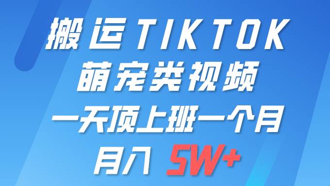 一键搬运TIKTOK萌宠类视频 一部手机即可操作 所有平台均可发布 轻松月入5W+-淘金创客