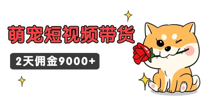 东哲日记·萌宠短视频带货，2天佣金9000+-淘金创客