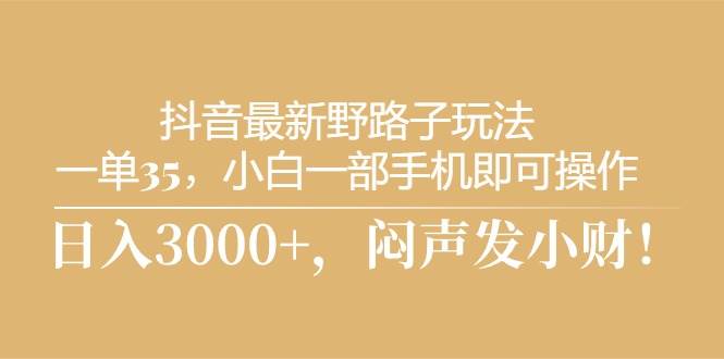 抖音最新野路子玩法，一单35，小白一部手机即可操作，，日入3000+，闷…-淘金创客